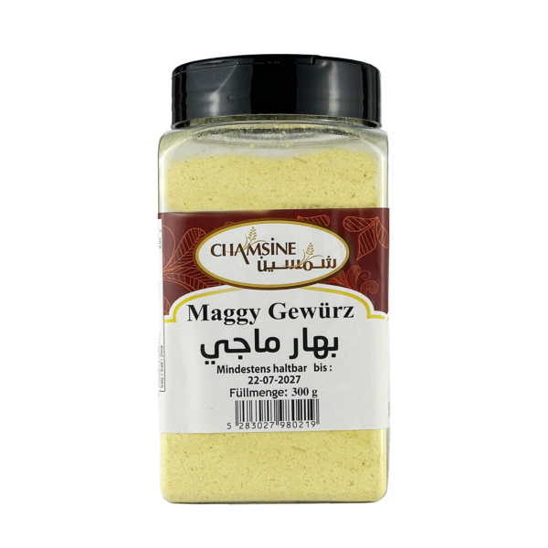 Chamsine Maggy spices 300G X 18